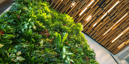 Green plants on white concrete floor