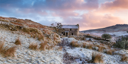 Navigating a cautious market