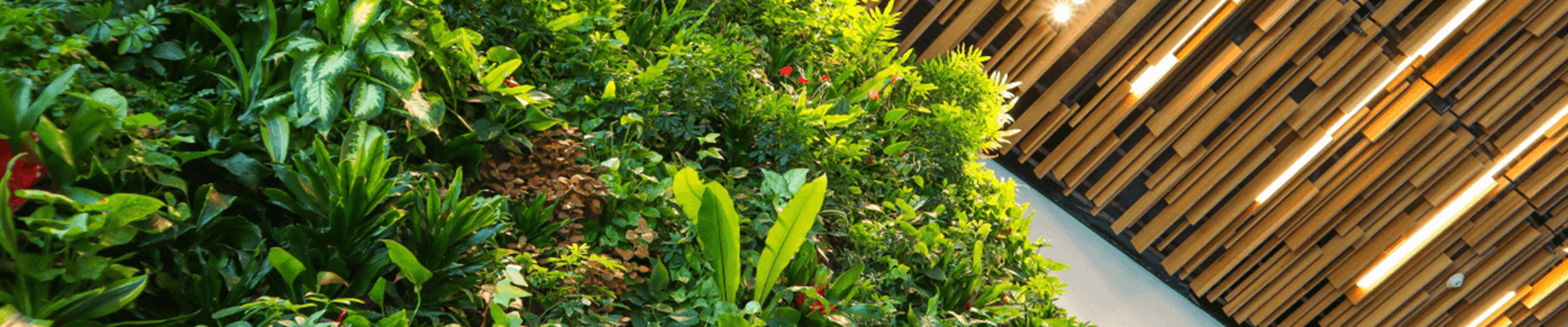 Green plants on white concrete floor