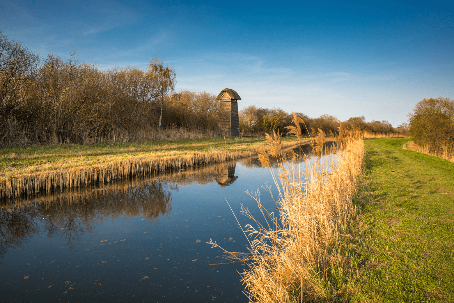 Land at Gipsy Lane