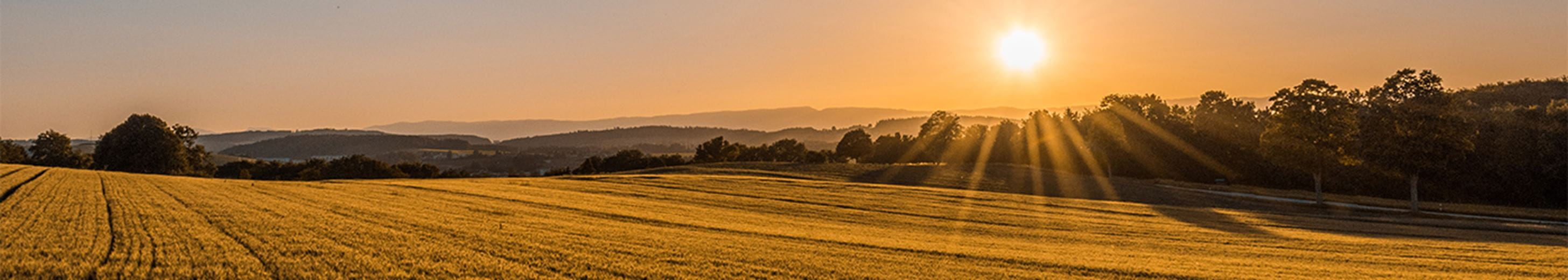 land under a sun set