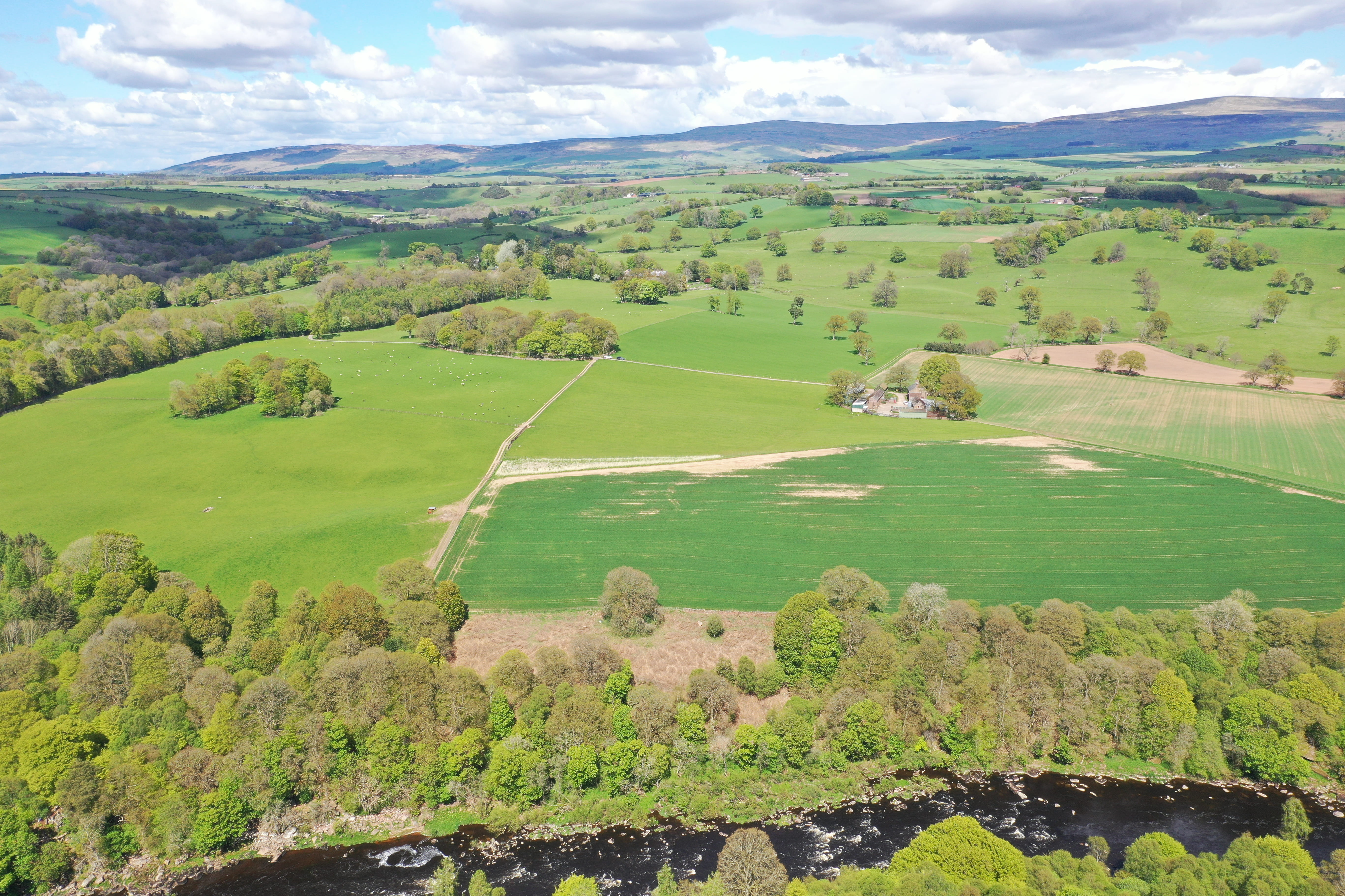 Great Yorkshire Show 2025