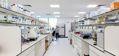 Programme management