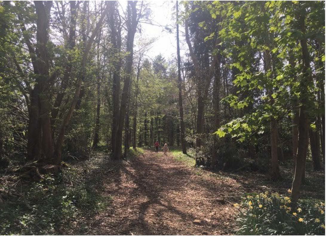 189 to 437 Sq Ft , Units At Southernwood Castle, The Rocks SN14 - Available