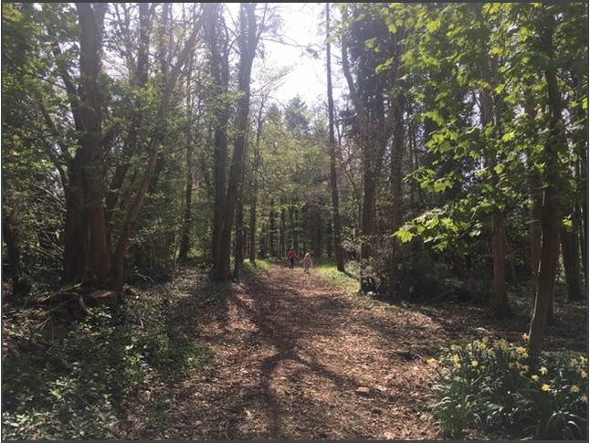 317 Sq Ft , Units At Southernwood Castle, The Rocks SN14 - Available