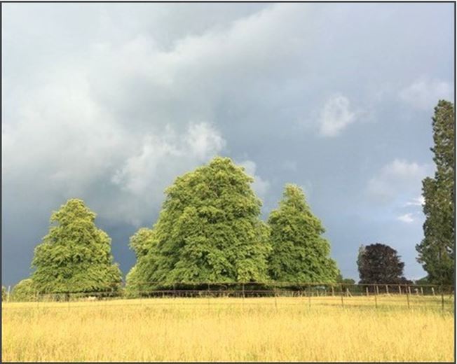 317 Sq Ft , Units At Southernwood Castle, The Rocks SN14 - Available