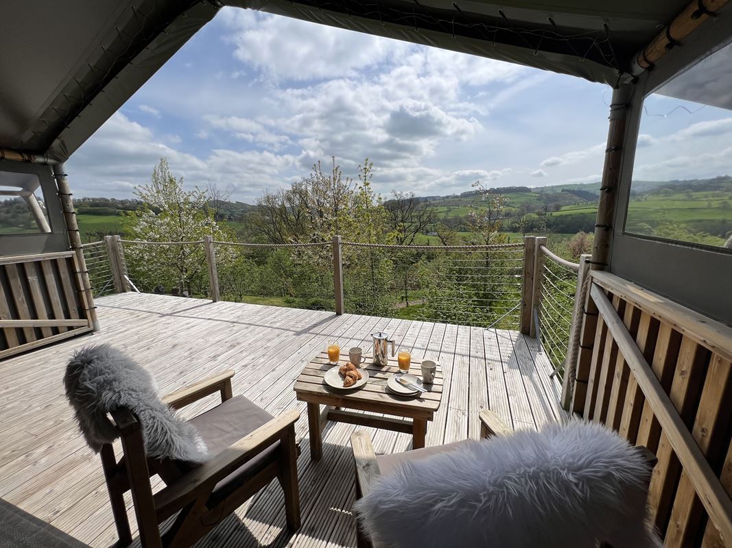 2.3 acres , Llangyniew SY21 - Available