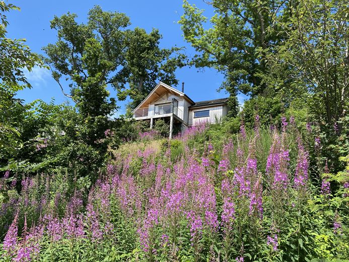 2.3 acres , Llangyniew SY21 - Available