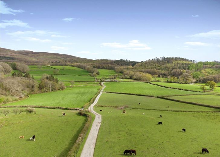 94.1 acres Farm, Tre'r Ddol, Machynlleth SY20 - Sold STC