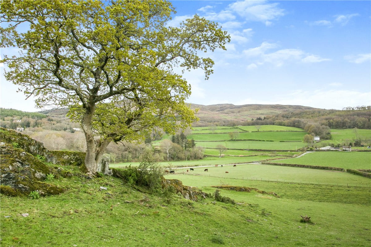 94.1 acres Farm, Tre'r Ddol, Machynlleth SY20 - Sold STC