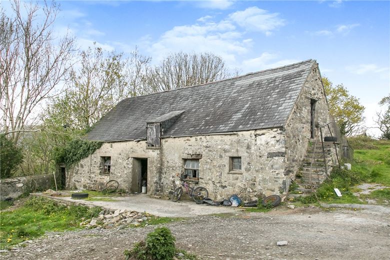 94.1 acres Farm, Tre'r Ddol, Machynlleth SY20 - Sold STC