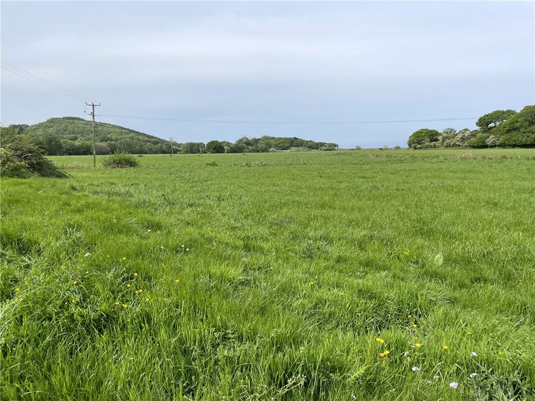 94.1 acres Farm, Tre'r Ddol, Machynlleth SY20 - Sold STC