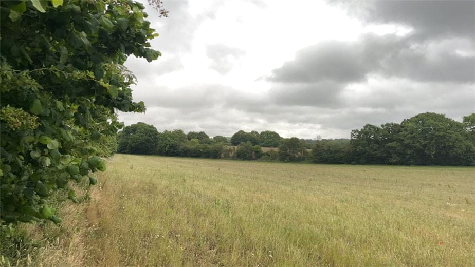 4 acres Land, Thatcham, Berkshire RG18 - Available