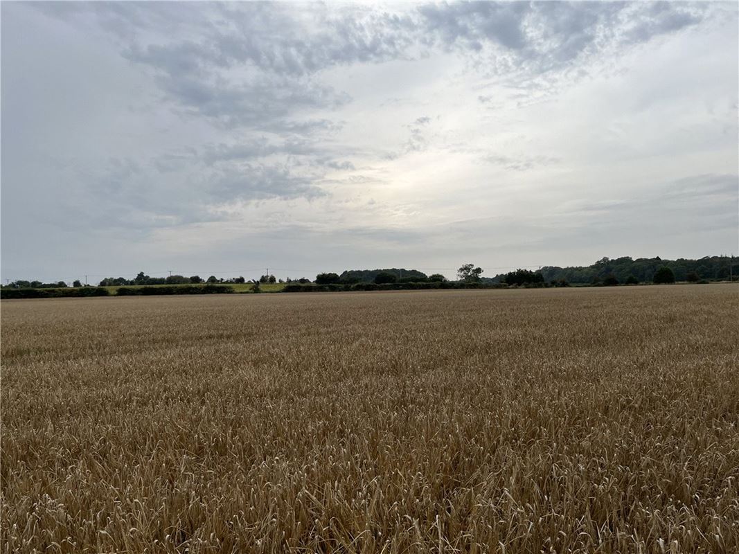 214 acres Land, Jerrys Lane, Lichfield WS14 - Available