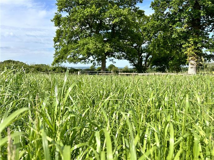 15.8 acres Land, Potterne Wick, Potterne SN10 - Available