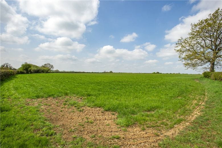31 acres Land, Land At Capps Lane, Westbury, Wiltshire, BA13 - Available