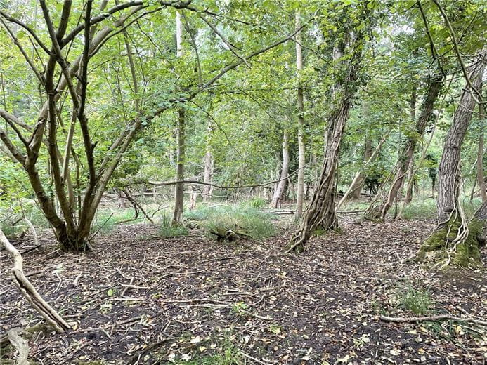 3.8 acres Land, Whittlesford, South Cambridgeshire CB22 - Available