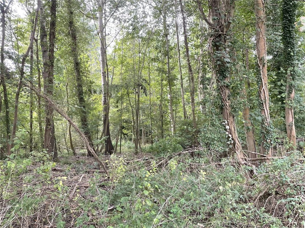 3.8 acres Land, Whittlesford, South Cambridgeshire CB22 - Available