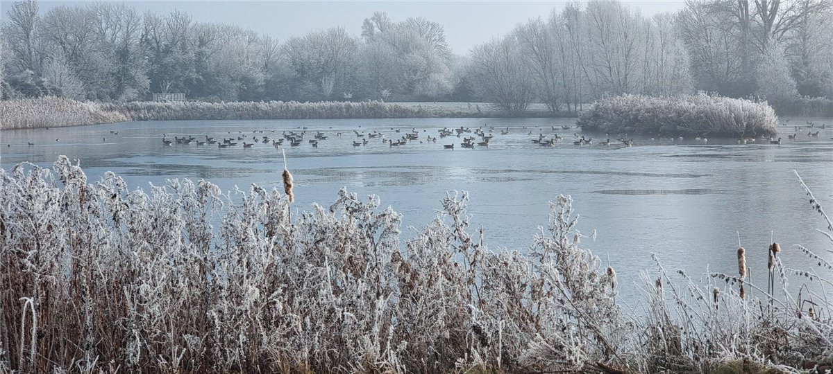  House, Wyton, Huntingdon PE28 - Available