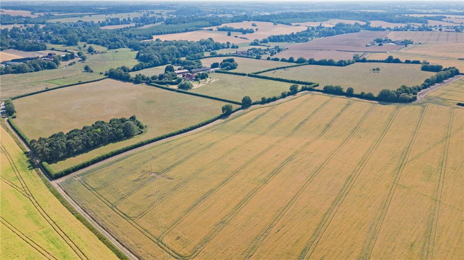 43.2 acres Land, Cookley, Halesworth IP19 - Available