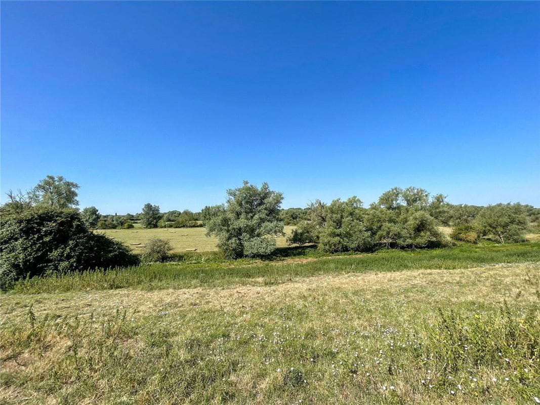 2.5 acres Land, Conger Lane, Holywell PE27 - Available