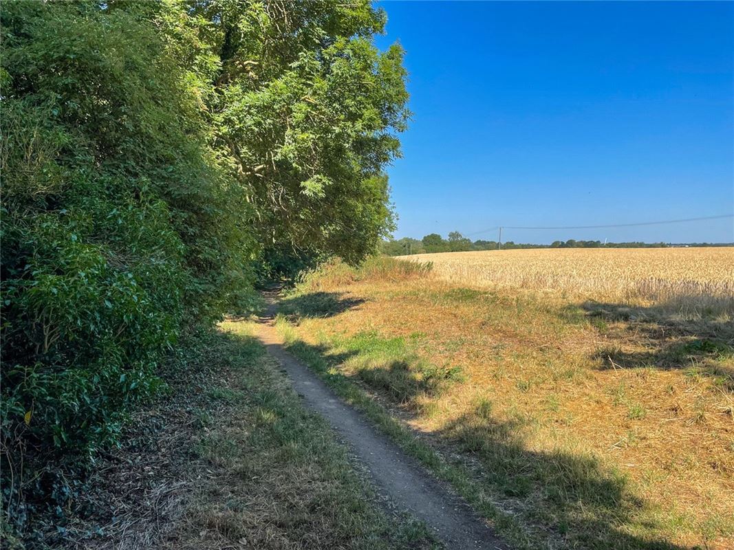 2.5 acres Land, Conger Lane, Holywell PE27 - Available