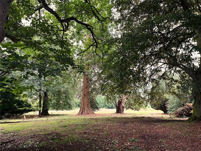 3 bedroom house, Broxholme Park, Ripley HG3 - Available