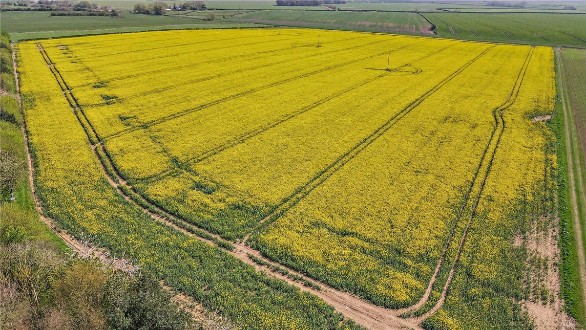  Land, Lot 2 - Land At Beeford and Foston, Driffield YO25 - Sold STC