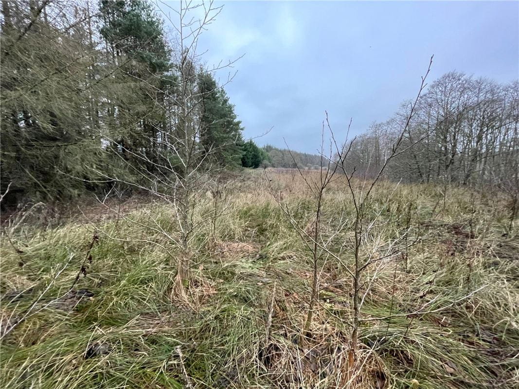  Land, Felton, Morpeth NE65 - Available