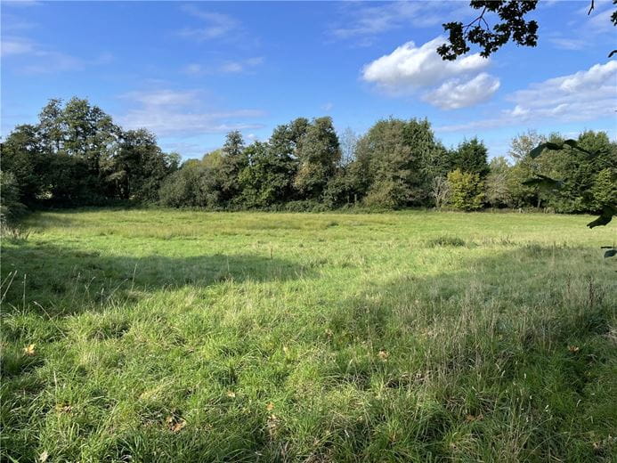  bedroom development plot, Ball Hill, Newbury RG20 - Available