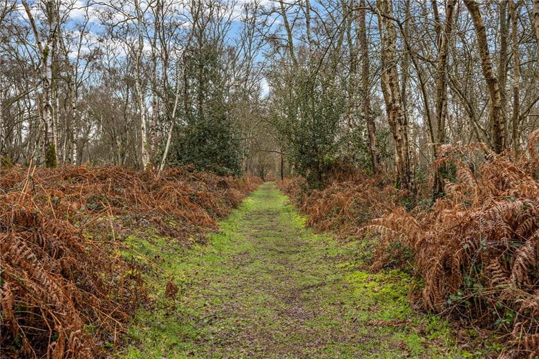 5 bedroom house, Thornford Road, Crookham Common RG19 - Available