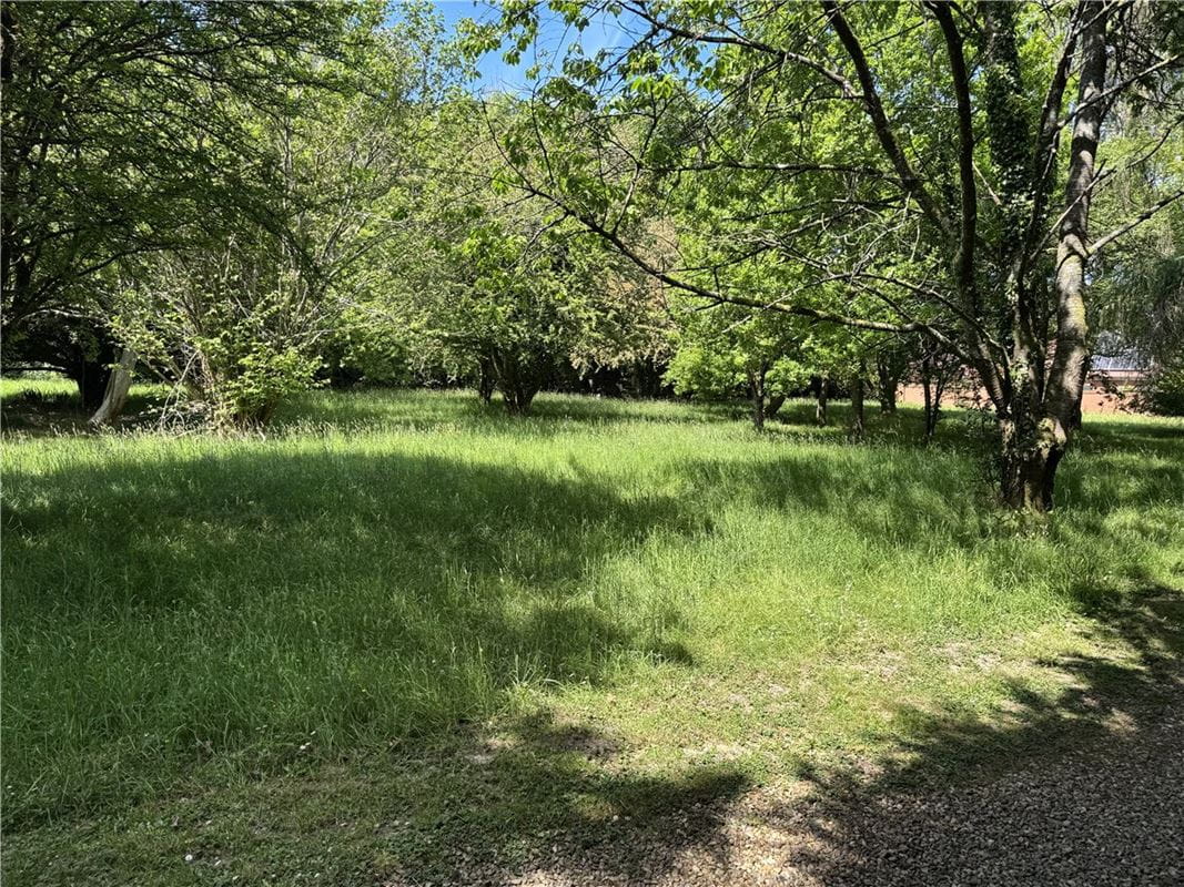  bedroom development plot, Andover Road, Highclere RG20 - Sold STC