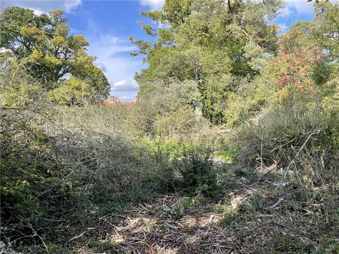  Land, Westridge, Highclere RG20 - Available