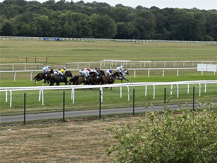 3 bedroom house, Newbury, Berkshire RG14 - Available