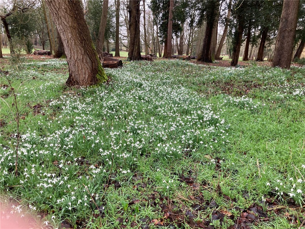 3 bedroom house, Besselsleigh, Abingdon OX13 - Available