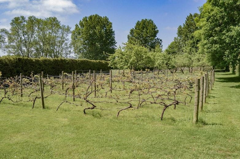 68.5 acres House, Lew, Bampton OX18 - Available