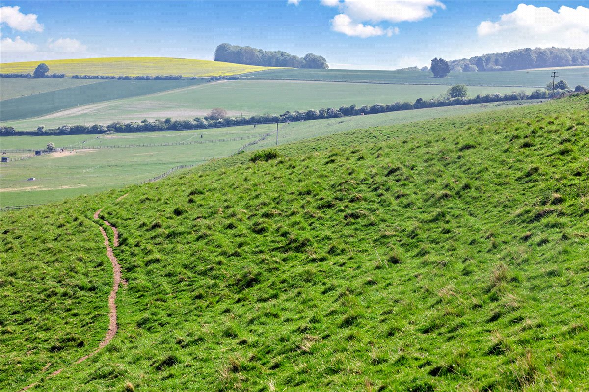 54.2 acres Land, Woodway Road, Blewbury OX11 - Sold STC