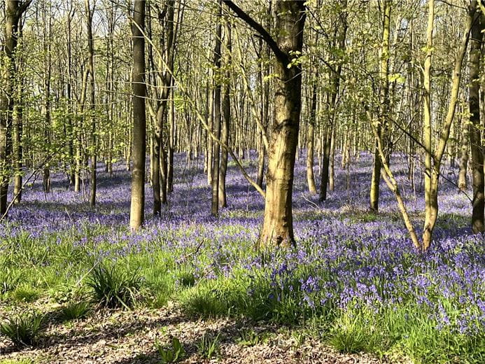 30.1 acres Land, Brockhill Lane, Redditch B97 - Available