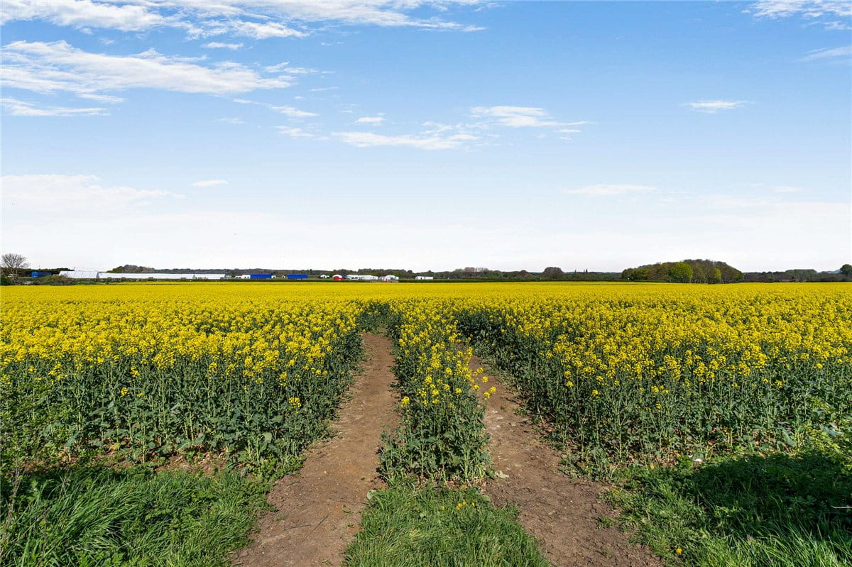 69.1 acres Land, Thame, OX9 - Available