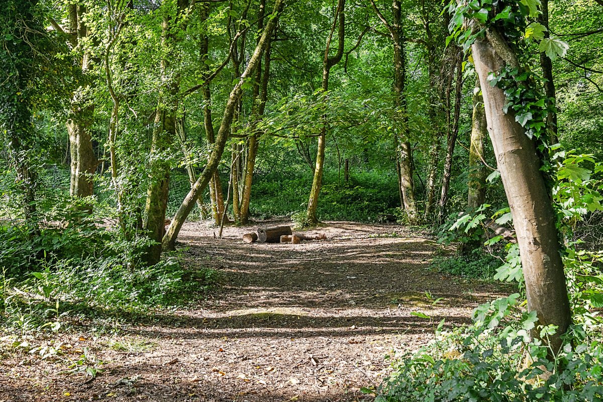 5.3 acres Land, Farleigh Rise, Monkton Farleigh BA15 - Sold STC