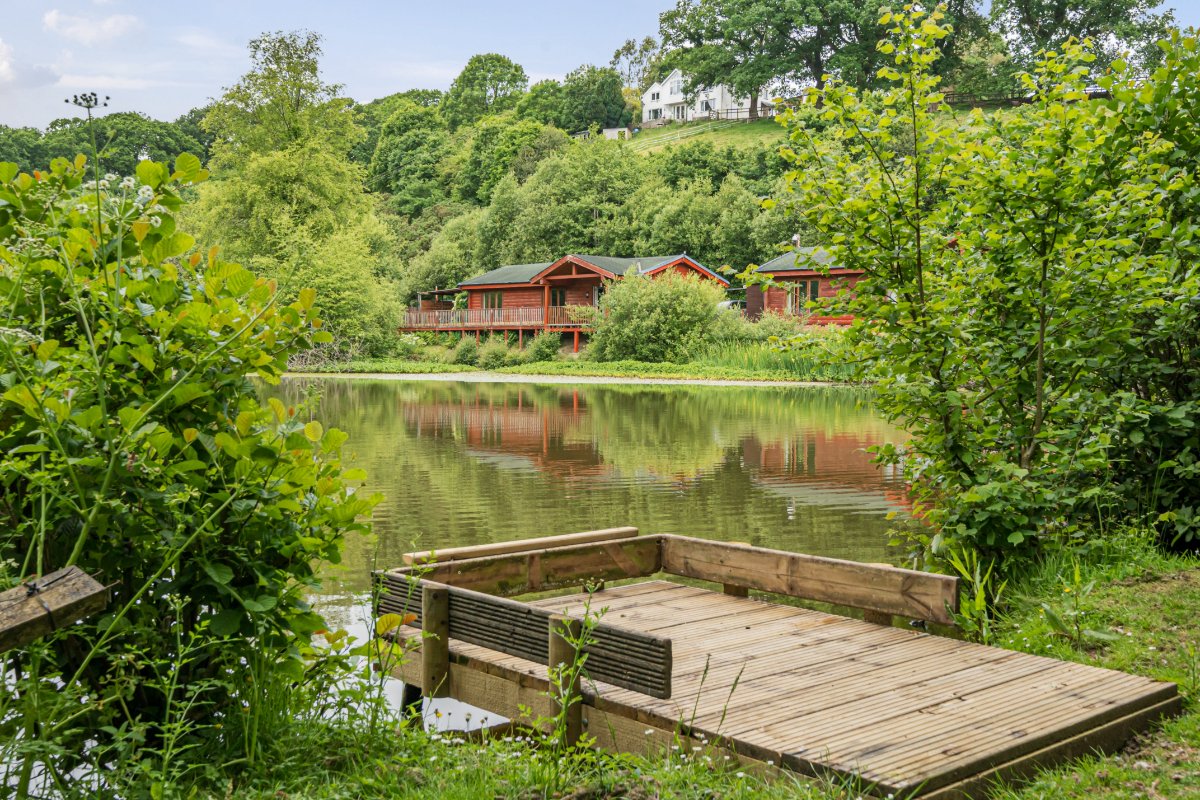 8 bedroom , Buckland Brewer, Bideford EX39 - Available