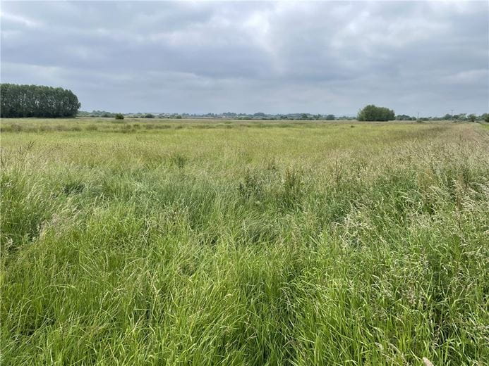 3.1 acres Land, Lot 4: Land At Stanmoor Road, Burrowbridge TA7 - Sold