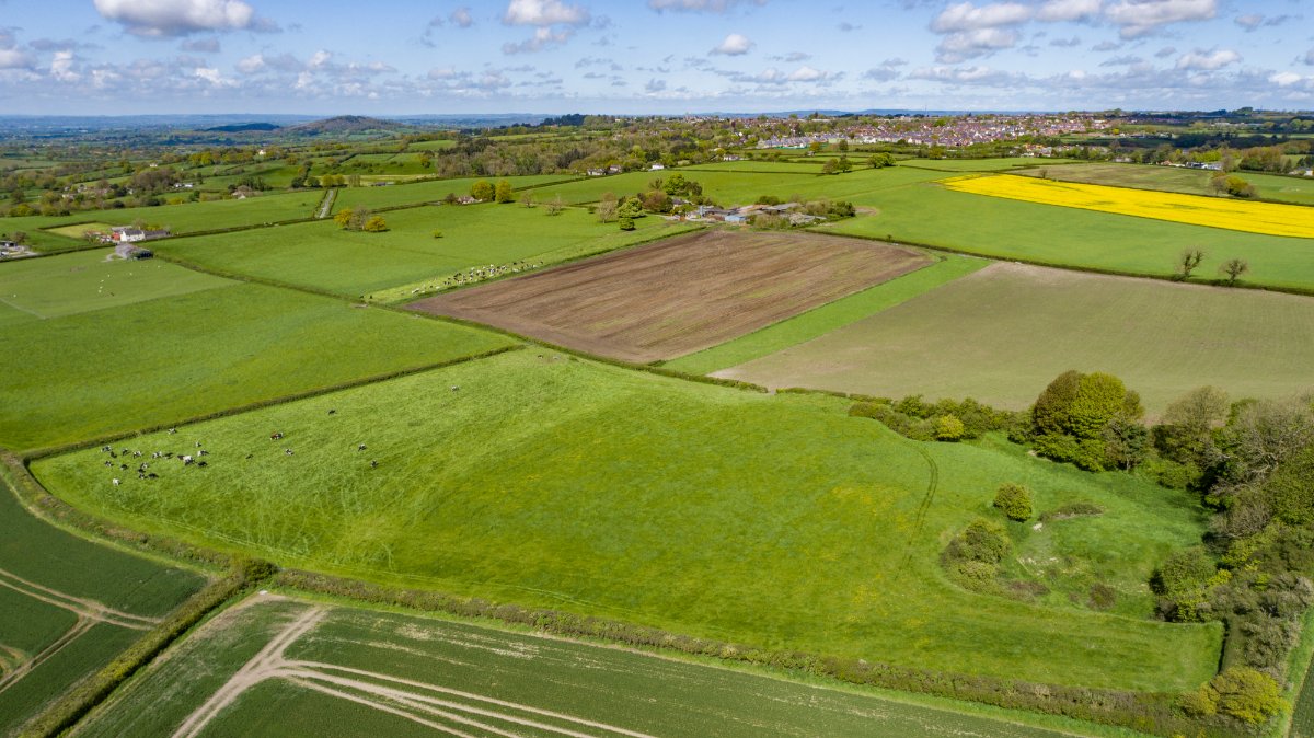 289.5 acres House, Cann, Shaftesbury SP7 - Sold