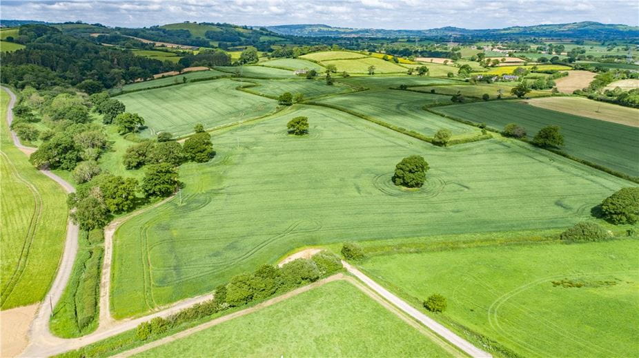 518 acres Farm, Dottery, Bridport DT6 - Sold STC