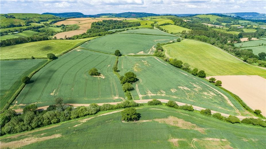 518 acres Farm, Dottery, Bridport DT6 - Sold STC