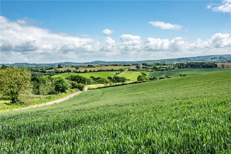 518 acres Farm, Dottery, Bridport DT6 - Sold STC