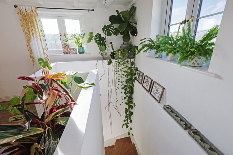 7 bedroom house, Wilton Mill Farm & Cottages, Pelynt PL13 - Sold