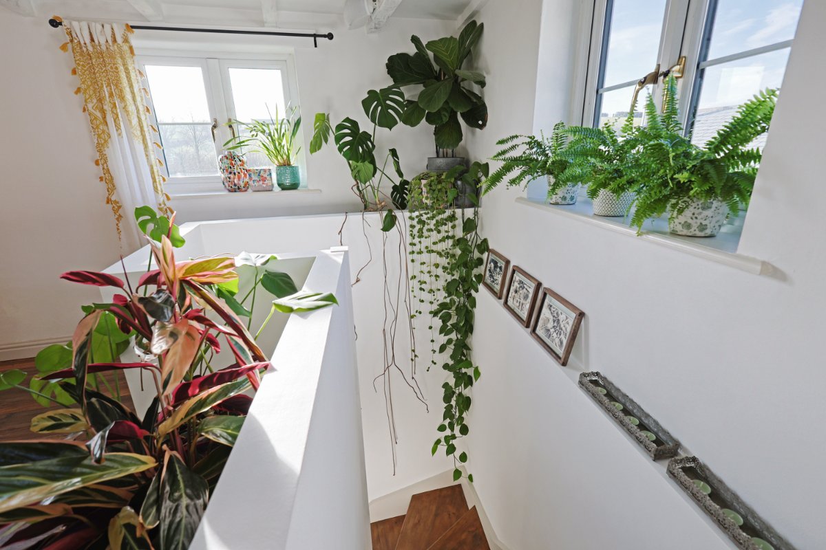 7 bedroom house, Wilton Mill Farm & Cottages, Pelynt PL13 - Sold