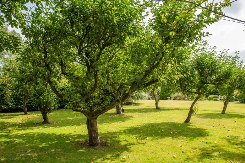 60 acres House, Manor Farm, Alhampton BA4 - Sold