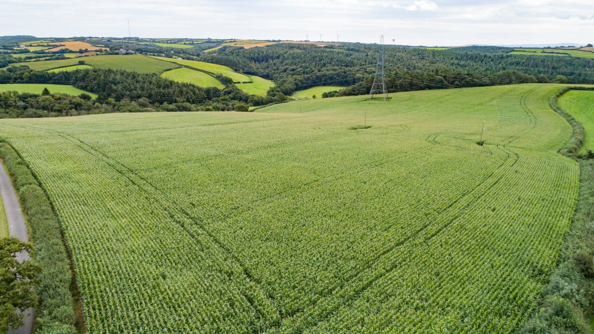 41 acres Land, Lot 5: Land At Great Huxhill Farm, Weare Giffard EX39 - Sold STC
